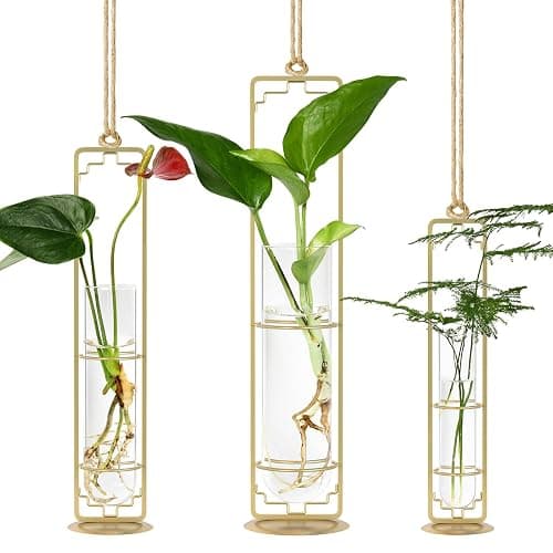 MIPON Plant Propagation Stations,Hanging Glass Propagation Test Tube Vases for Plants with Gold Metal Stand for Hydroponic Cutting Home Garden Office Decor-Gold - Gold thumbnail 7