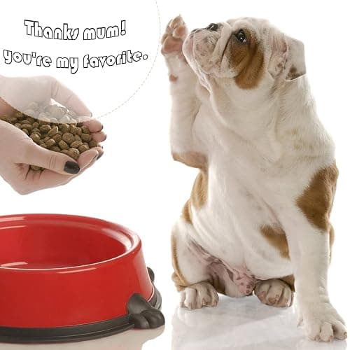 Amyandone Mini Star Silicone Mold, 112 Cavities Chocolate Candy Molds with Stars Shape for Homemade Pet Training Treats/Biscuits, Food Grade Star Mold for Fruit Snack/Cake Decor (with a Scraper) thumbnail 6