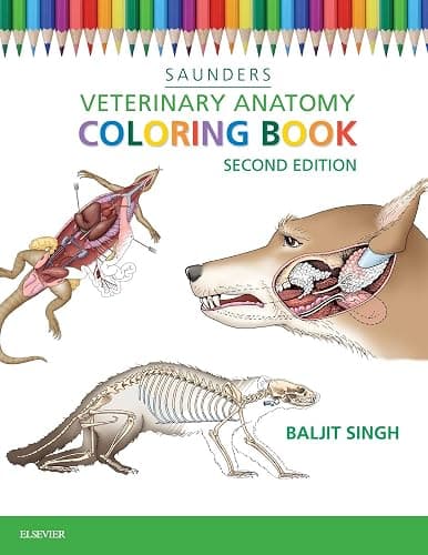 Veterinary Anatomy Coloring Book - Image 1