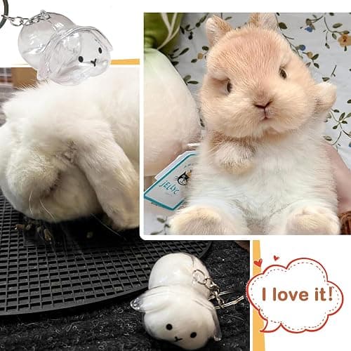 CUTENNIOU Rabbit Fur Keepsake Cute Rabbit Hair Keychain, Transparent Pet Fur Memorial Keepsake Collector, Bunny Lover Collecting Gift thumbnail 4
