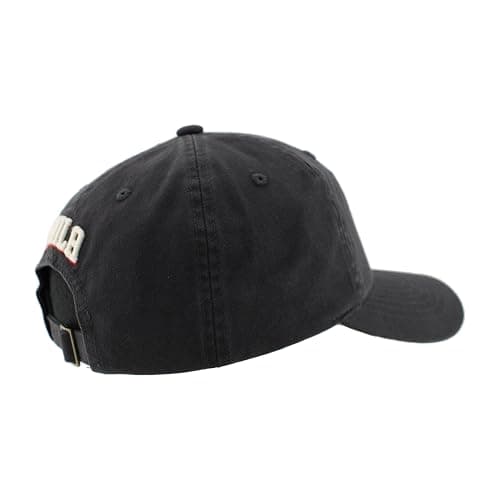 ZHATS NBA Unisex-Adult NBA Officially Licensed Adjustable Hat Scholarship Icon Charcoal thumbnail 6