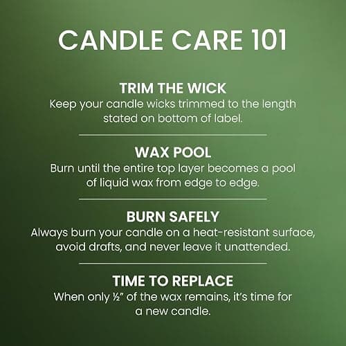 Yankee Candle, Balsam & Cedar Fall Scented Candle, 22oz Large Jar with up to 150 Hour Burn Time thumbnail 4