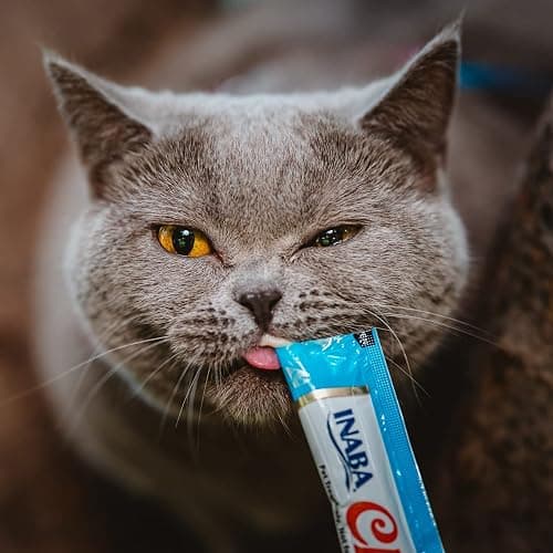 INABA Churu Cat Treats, Grain-Free, Lickable, Squeezable Creamy Purée Cat Treat/Topper with Vitamin E & Taurine, 0.5 Ounces Each Tube, 50 Tubes, Tuna & Seafood Variety thumbnail 2