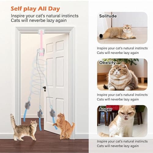 HAPPYCODE Interactive Cat Toy, Flapping Bird & Rotating Feather Teaser for Indoor Cats, Hanging Doorway Cat Toys with Fishing Pole for Exercise, Boredom Relief & Fun Games thumbnail 7