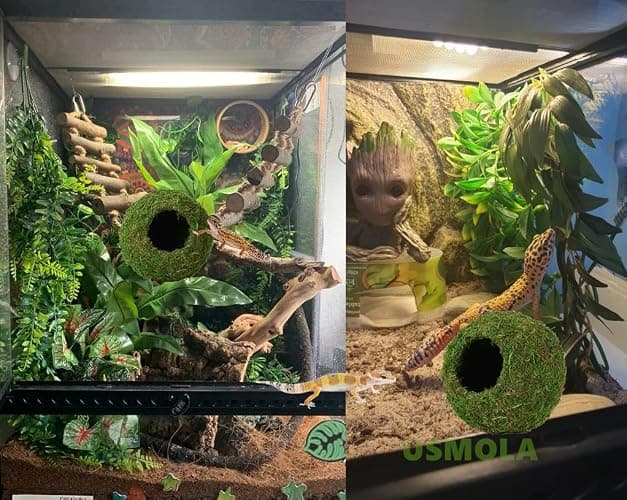 USMOLA Mossy Caves, Artificial Green Moss Caves Hide for Pet Reptile Frogs and Snakes, Terrarium & Vivarium Decor, Crested Gecko Tank Decor (4" - Woodland Green) thumbnail 5