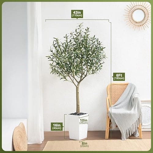 VeriNatural Artificial Olive Tree 6FT, UV Resistant Tall Fake Tree Indoor Outdoor with White Taper Planter & Pebbles – Potted Large Faux Plant for Modern Home Decor Living Room Office Patio, VN156 thumbnail 2