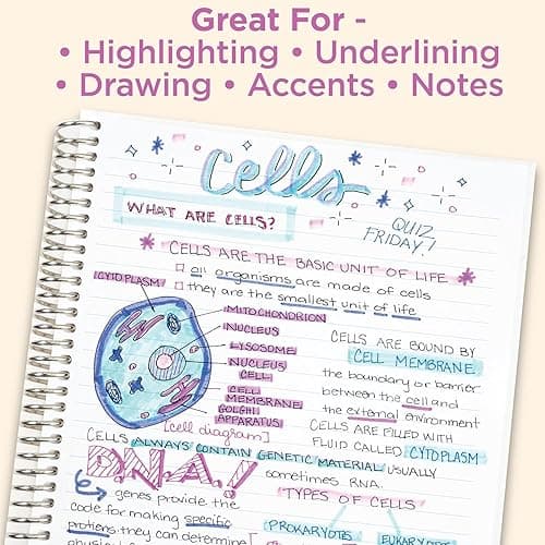 Zebra Pen Mildliner Dual-Tip Highlighter Set, Broad and Fine Point Tips, No Bleed, Ideal for Bible Highlighting, Giftable Art Supplies and Teacher Gifts, Neutral Vintage Ink Colors, 15-Pack (78315) thumbnail 5