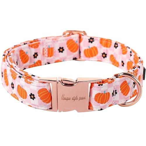 Unique style paws Dog Collar Metal Buckle Collar for Autumn Winter Christmas for Small Medium Large Boys Girls Dogs - Image 1