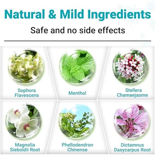 LMNOOP Athletes Foot Treatment Cream, Maximum Strength for Athlete's Foot (Tinea Pedis), Itching, Blister, Burning, Cracking, Scaling, Beriberi,Natural Herbs Antifungal Foot Cream thumbnail 5