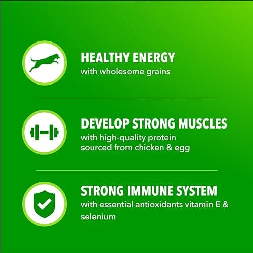 IAMS Proactive Health Adult Minichunks Premium Dry Dog Food, Adult Dog Food Dry Recipe, 30 lb. Bag thumbnail 5