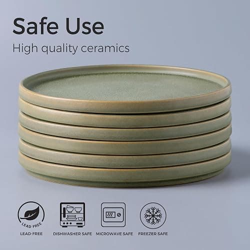 AmorArc Stoneware Dinner Plates Set of 4, 10.5 Inch Reactive Matte Glaze Ceramic Plates Set, Modern Dinnerware Dish set for Kitchen, Microwave, Dishwasher Safe thumbnail 4
