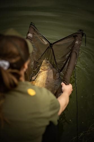 Carp Target Mix Grains cuits maïs Chanvre pour carpes - Amorce Poisson préparée - Appât - Groundbait - Nourriture Carpe pêche - Amorce Carpe - Nourriture pêche thumbnail 7