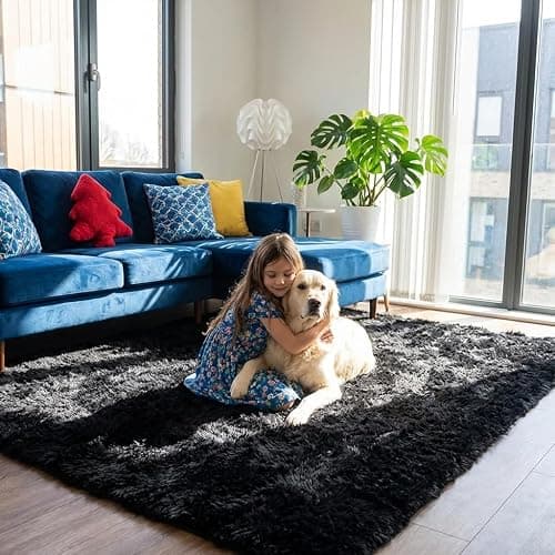 Black Rugs for Bedroom, 3x5 Feet Fluffy Area Rugs for Living Room, Soft Shag Kids Rug Small Carpet for Nursery, Bedside, Indoor, Dorm Decor thumbnail 4