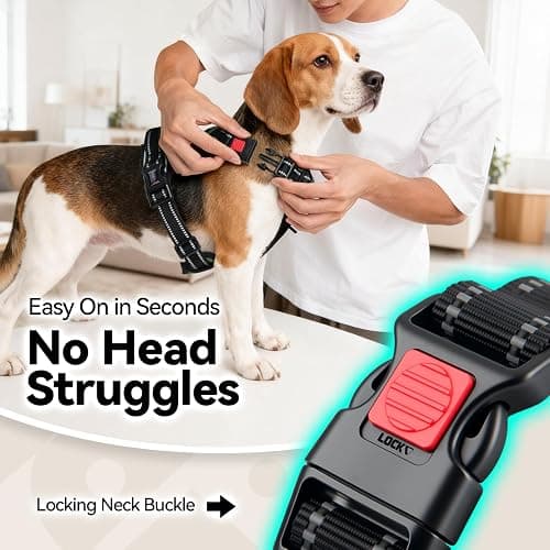 PHOEPET No Pull Dog Harness with Handle Front & Back Clip, Easy on Lockable Snap Buckle at Neck, Adjustable Reflective Vest with Handle for Small Medium Large Dogs (L, Misty Green) thumbnail 3