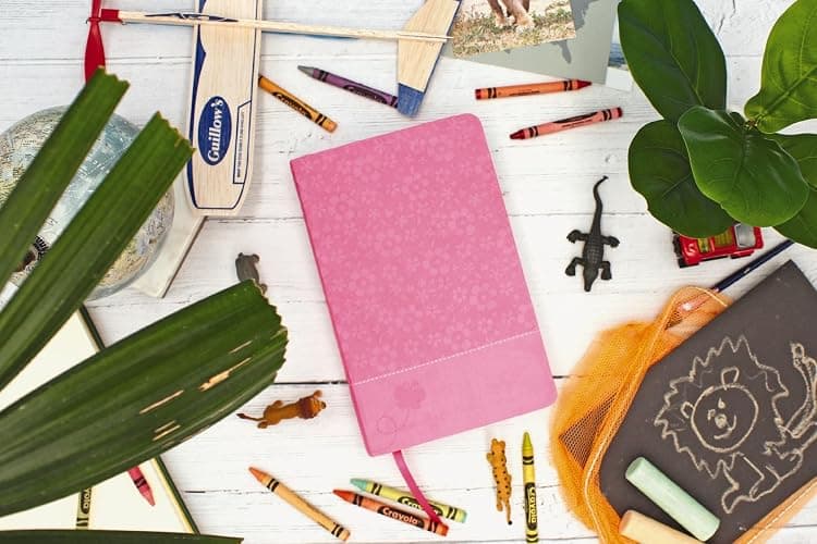 NIrV, Adventure Bible for Early Readers, Leathersoft, Pink, Full Color thumbnail 3