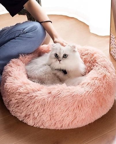 Soft Bed for Kitty 🐈‍⬛  thumbnail 3