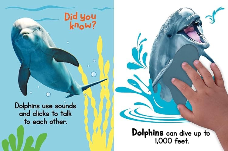 Ocean Friends - Touch and Feel Board Book - Sensory Board Book thumbnail 3