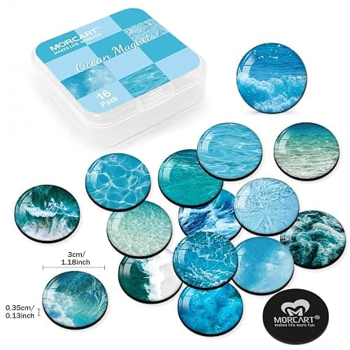 MORCART 16PCS Fridge Magnets, Ocean Magnets Decoration for Refrigerator Locker Whiteboard Decorative Magnetic Board Cabinets Classroom Office Cubicle School Cute thumbnail 3