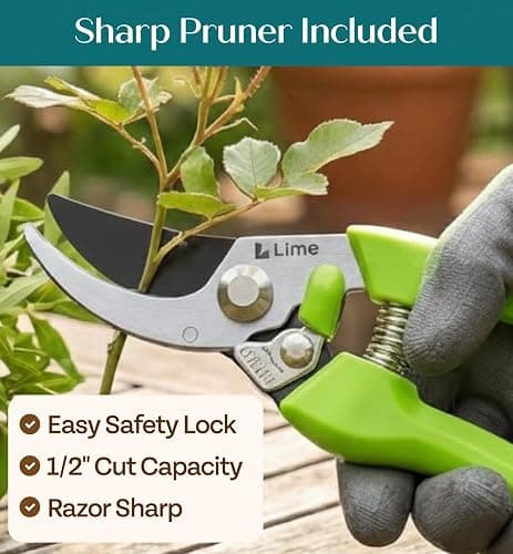 Heavy Duty Gardening Tools - Gardening Gifts for Women, Men, Mom, Dad - Durable, Ergonomic Garden Tools Set (Green) thumbnail 6