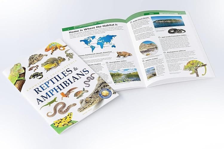 Animals: Collection of 6 Books: Knowledge Encyclopedia For Children (Box Set) thumbnail 5