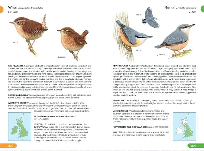 RSPB Pocket Guide to British Birds thumbnail 11