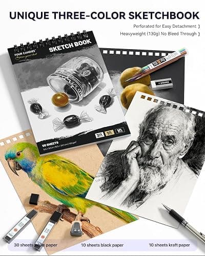 Four Candies 73PCS Advanced Art Supplies Drawing Kit with Fineliner Pens, Mechanical Pencils, 3-Color Sketchbook, Charcoal Sticks,Pastels for Sketching Drawing Comics Gifts for Professionals Artists thumbnail 5