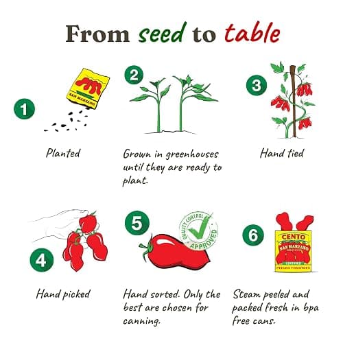 Cento Certified San Marzano Whole Peeled Tomatoes with Basil, 28 oz, 6 Pack | Canned Plum Tomatoes in Thick Puree, Grown & Processed in Italy, Thicker Walls, Fewer Seeds, Lower Acidity, BPA-Free, Non-GMO thumbnail 7
