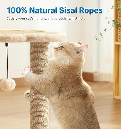 Made4Pets Kitten Toy Scratching Post with Self Groomer for Indoor Cats | Interactive Cat Scratching Post with Self Groomer, Cloud Perch, Natural Sisal Rope and Rolling Ball Track, Modern Home Décor thumbnail 4
