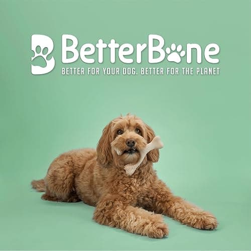BetterBone - Medium Density - Ideal for Moderate to Strong Chewers - All-Natural, Nylon-Free Dog Chew Toys - Non-Toxic, Promotes Dental Health, Splinter-Resistant, Sustainably Made thumbnail 2