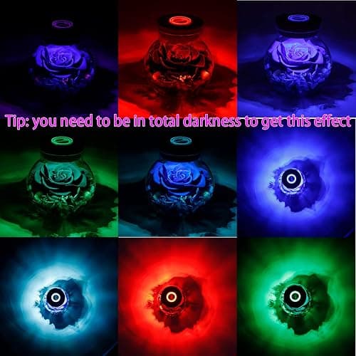 roliys Preserved Real Roses with Colorful Mood Light Wishing Bottle, Eternal Rose，Never Withered Flowers, Table Decor,Christmas Anniversary Valentine's, Blue 4.3inch, 1pcs thumbnail 6