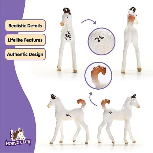 Schleich Horse Club - Marwari Foal - 3" Hand-Painted Collectable, Realistic Toy Horse Figurine for Girls and Boys. Durable Educational Figure for Fun Imaginative Play. Cool Kids Toys Ages 5+ 14896 thumbnail 4