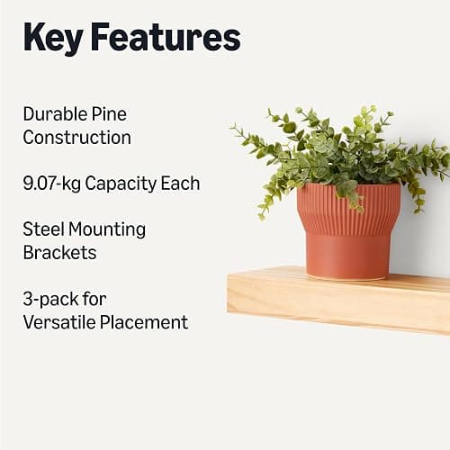 Floating Shelves thumbnail 3