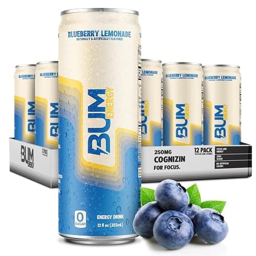 BUM Sugar-Free Energy Drink, Blueberry Lemonade - Lightly Carbonated & No Artificial Colors, Natural Caffeine & Citicoline for Energy & Focus, Brain Boost & Workout Sports Beverage - 12 oz, Pack of 12 - Image 1