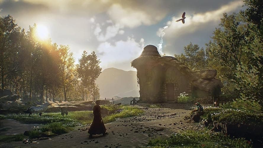 Hogwarts Legacy - Xbox Series X | English | EU Import Region Free Version thumbnail 4