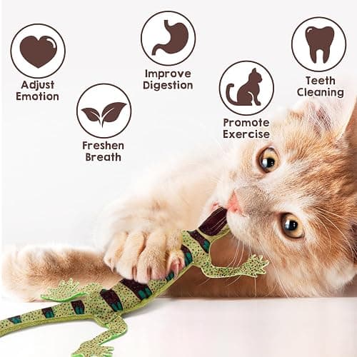 CiyvoLyeen Lizard Catnip Toys Chew Bite Resistant Toys for Indoor Cats Boredom Relief Teeth Cleaning Interactive Funny Cute Kitten Cat Lover Gifts Christmas Birthday Presents Set of 4 thumbnail 2