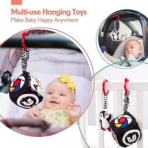 hahaland Juguetes Bebes 0-3 Meses - Blanco y Negro Sensorial Juguetes para Bebes 0 3 6 Meses, Tummy Time Juegos de Estimulación Regalos Bebe 0-6 Meses 30 Piezas Set thumbnail 7