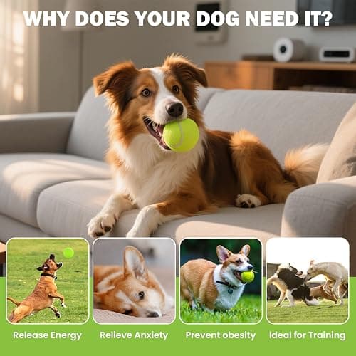 FURWEY Tennis Balls, 12/24/36/80 Pack Bulk Tennis Balls Pressureless Tennis Ball, Come with Mesh Bag for Easy Transport,Pet Dog Playing Balls, Good for Beginner Training Ball thumbnail 8