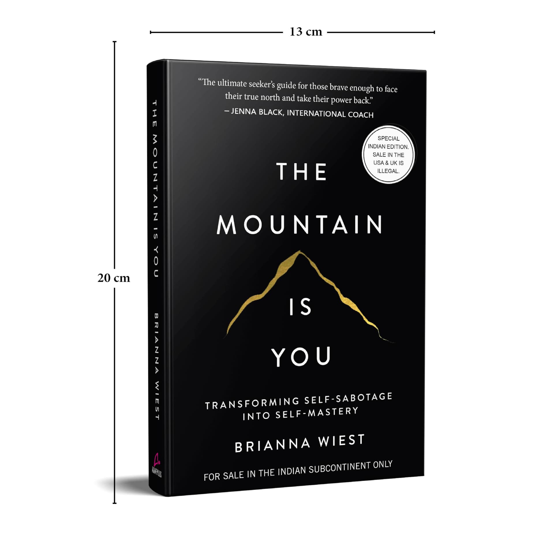 The Mountain Is You: Transforming Self-Sabotage Into Self-Mastery thumbnail 5