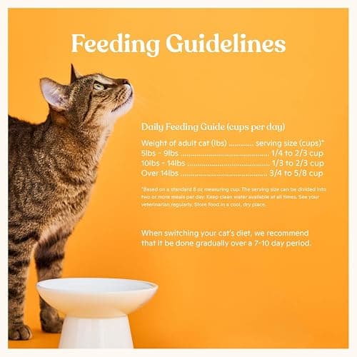 Made by Nacho Dry Cat Kibble 11lb Bag, High Protein and Grain-Friendly Premium Cat Food, Sustainably Caught Salmon and Pumpkin, Infused with Bone Broth for Hydration, Limited Ingredients, Single Bag thumbnail 6