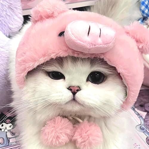 FOSDICK Cat Hat with Ear Holes Soft Plush Chick Pig Design Hats for Cats Funny Hat Cat Outfit Kitten Costume Warm Winter Accessory Soft Small Pet Headwear for Photoshoots and Parties (Yellow, Pink) thumbnail 6