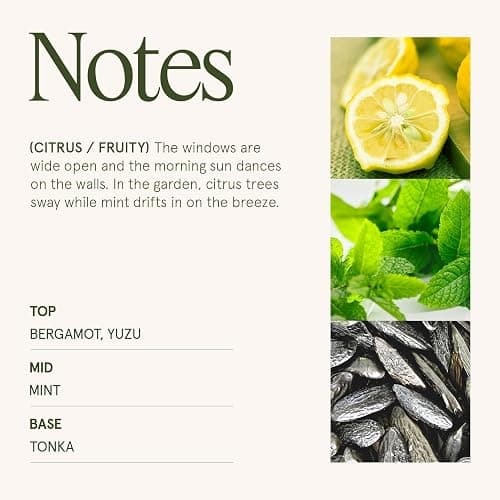 LA JOLIE MUSE Citrus Mint Candle – Yuzu, Mint & Tonka | 6 oz Natural Soy Wax | 40 Hours Clean Burn | Gift-Ready for Hosts | Fresh Citrus Candle | Elegant Home Décor thumbnail 4