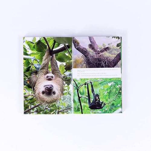 Living Planet: The Web of Life on Earth thumbnail 7