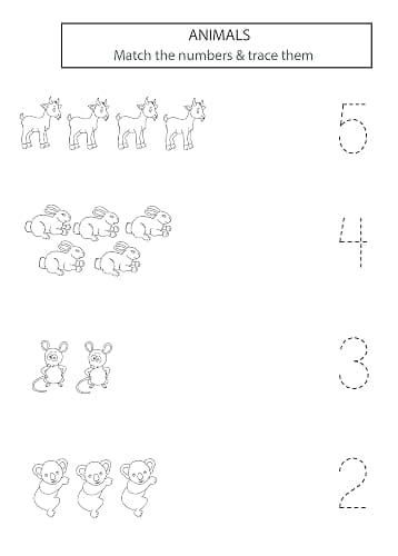 Preschool Math Workbook: Number Tracing, Addition and Subtraction math workbook for toddlers ages 2-4 and pre k thumbnail 4
