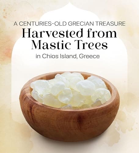 Cerez Pazari Natural Mastic Gum 0.71 oz (20g), Greek Chios Pure Resin, Sugarless Gum Made From Resin Of Mastiha Trees, Jaw Exerciser, Vegan, Non-GMO thumbnail 2