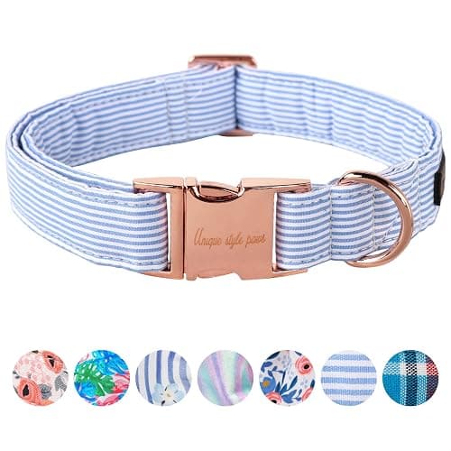 Unique Style Paws Blue Stripe Dog Collar Metal Buckle Gift Cute Collar for Small, Medium, Large Dogs - Image 1