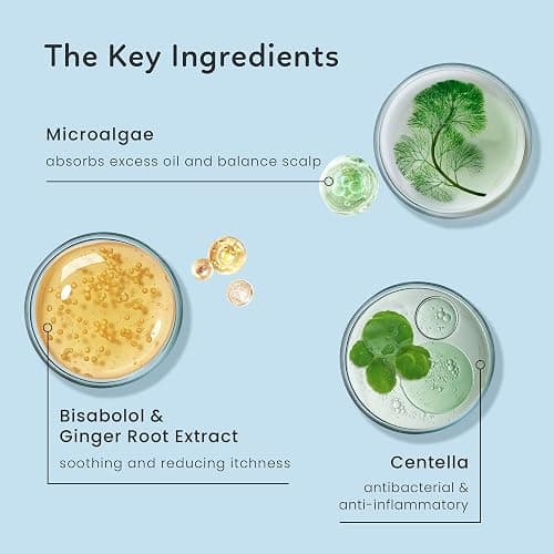 AMAXY Wet Dry Shampoo Gel | Instant Freshness & Volume, Oil Absorption, Non-Aerosol, Powder-Free, Scalp-Friendly, Cleansing & Comfort with Natural Ingredients thumbnail 6