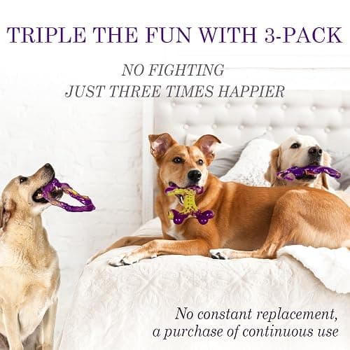 (3 Pack) Frienhund purple heavy-duty dog chew toys  thumbnail 3