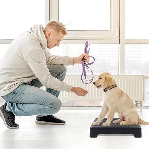 YEXEXINM Dog Training Place Board with Non-Skid Surface, Dog Platform for Training, Portable Dog Agility Platform, Dog Training Stand, Dog Training Equipment Suitable for Small Dogs, 17x13x3.14Inch thumbnail 4