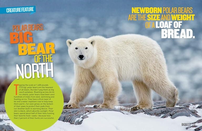 National Geographic Kids Extreme Records (NGK Records) thumbnail 3