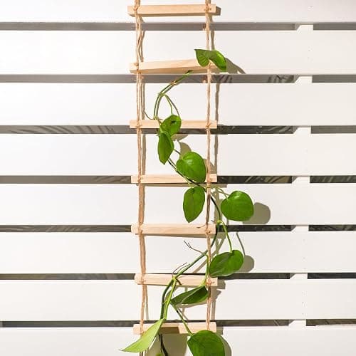 Goooxim Plant Ladder Indoor Plants Hanging Wooden Trellis Vine Support | Chain Trellis for Potted Plants Easy Installation Wall Holders for Climbing Vines Design for Pothos & Ivy Decor Garden Porch thumbnail 5